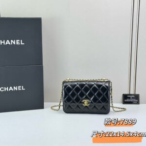 Chanel Double Gold Ball Wallet on Chain, Large, Quilted Leather