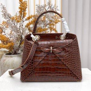 Dior SS26 Bow Handbag